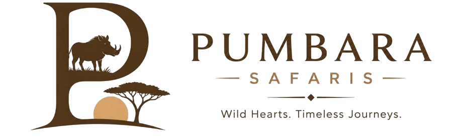 PUMBARA SAFARIS