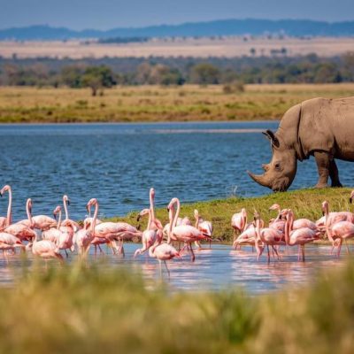 Lake Nakuru National Park