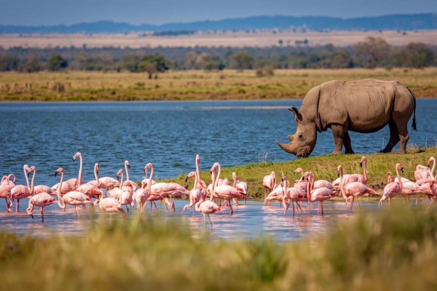 Lake Nakuru National Park